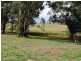 930 Copeton Dam Road, Inverell NSW 2360