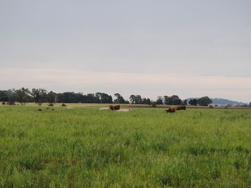 226 Oakwood Road, Inverell NSW 2360