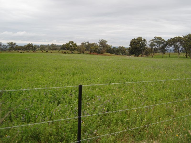 77 McNeils Lane, Inverell NSW 2360