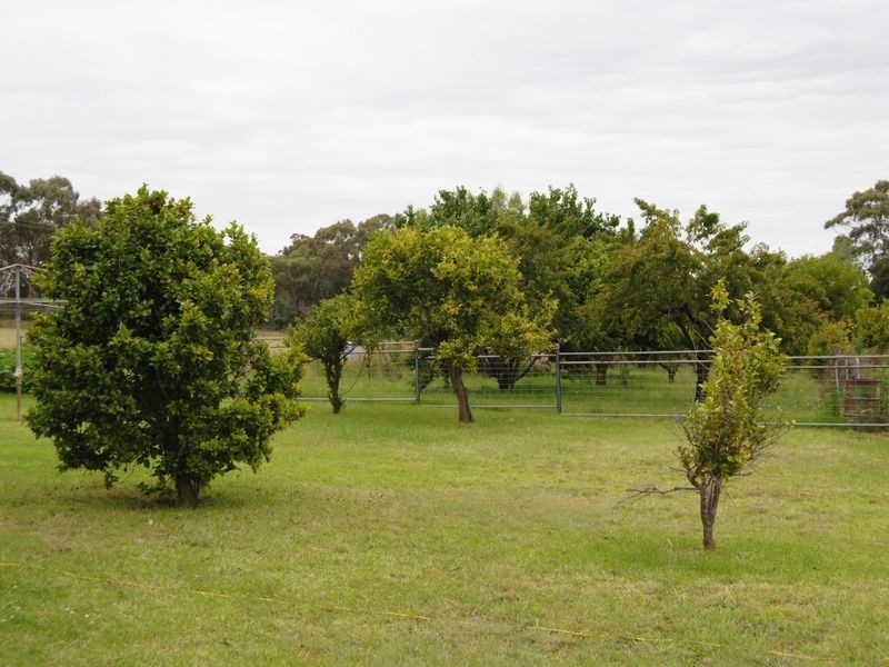 77 McNeils Lane, Inverell NSW 2360