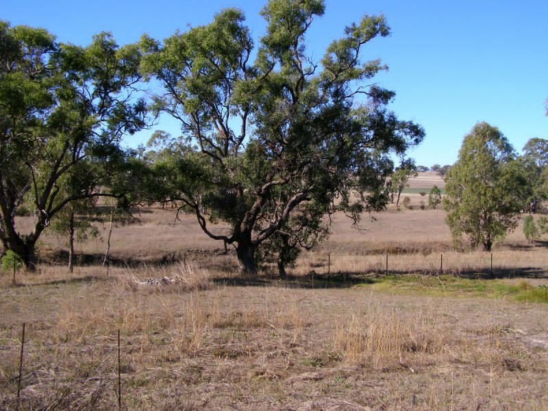 79 Coopers Lane, Inverell NSW 2360