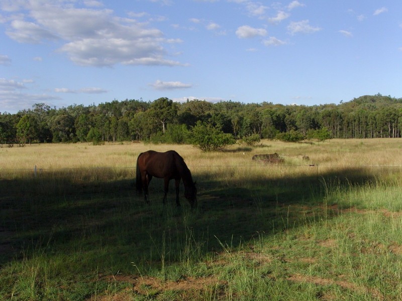 337 Ponds Road, Gilgai NSW 2360