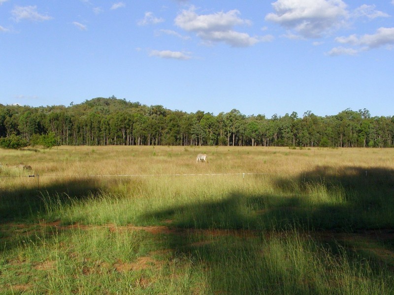 337 Ponds Road, Gilgai NSW 2360