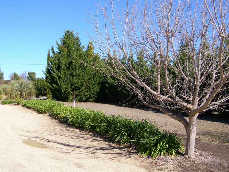 48 Hampton Court, Inverell NSW 2360