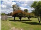 20 Baker Street, Bundarra NSW 2359