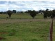 904 Sheep Station Creek Road, Bingara NSW 2404