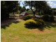 53 Brae Street, Inverell NSW 2360