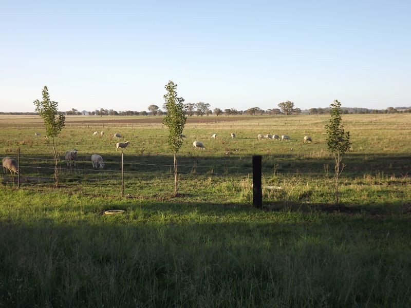 29 Gleno Street, Inverell NSW 2360