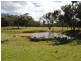 120 Pine Ridge RD, Inverell NSW 2360