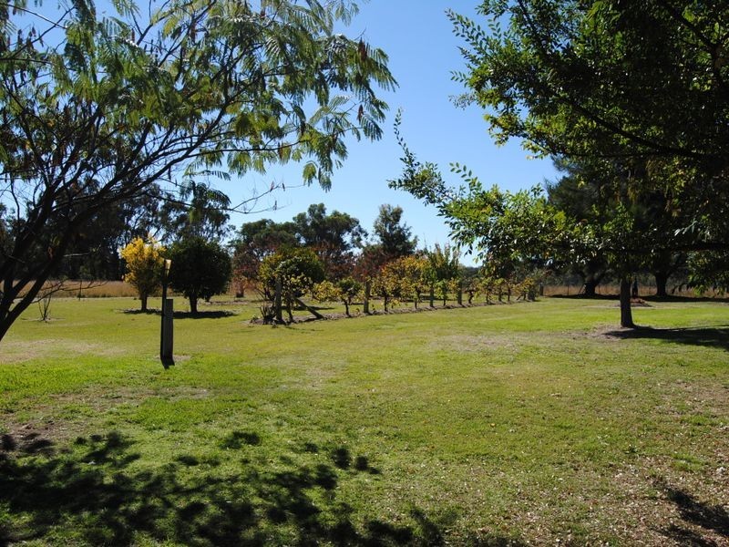 120 Pine Ridge RD, Inverell NSW 2360