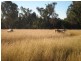 120 Pine Ridge RD, Inverell NSW 2360