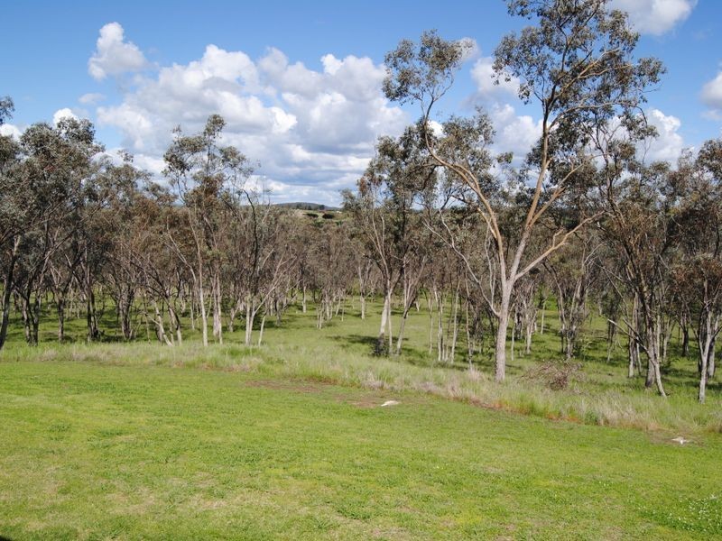 56 Clancys Drive, Inverell NSW 2360