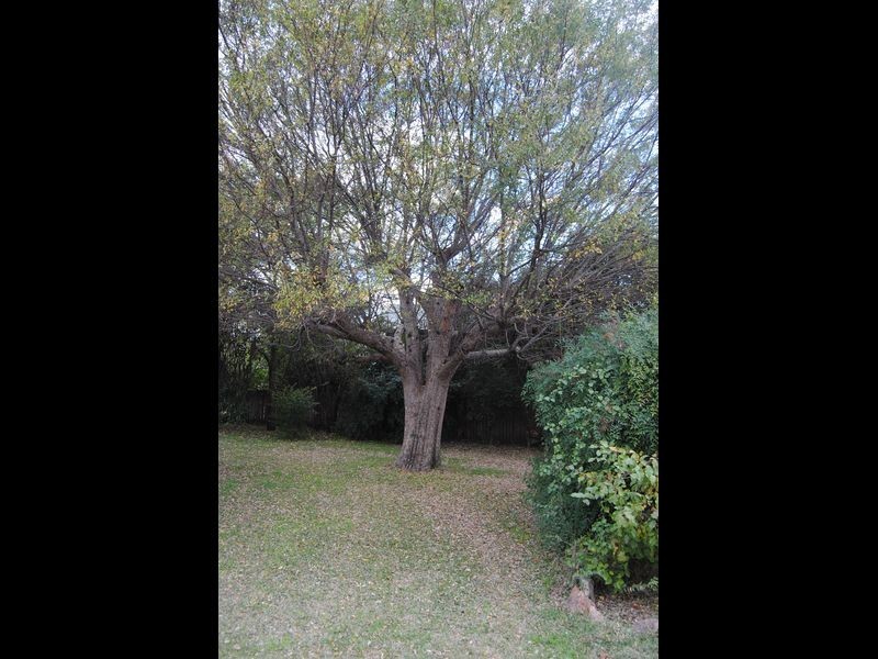 61 Brae Street, Inverell NSW 2360