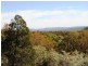 Lot 144 McLachlans Lane, Inverell NSW 2360
