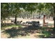 161 Warialda Road, Warialda NSW 2402