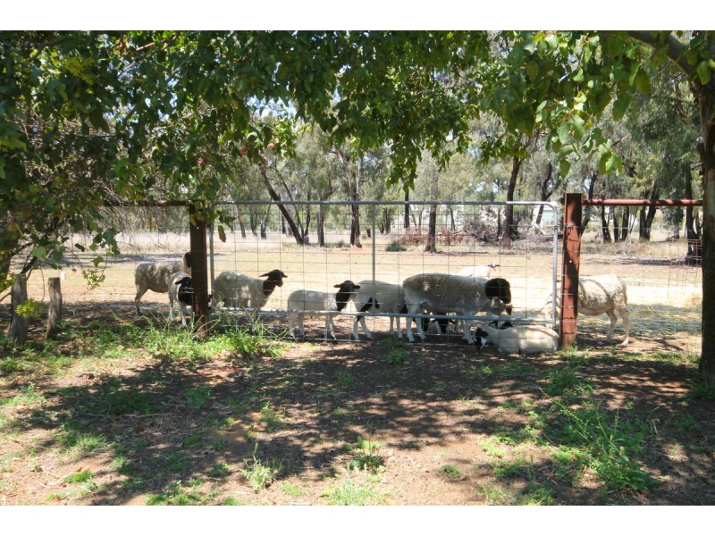 161 Warialda Road, Warialda NSW 2402