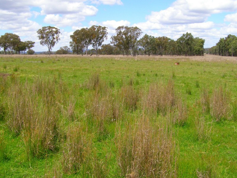 296 Limestone Road, Inverell NSW 2360