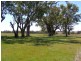 296 Limestone Road, Inverell NSW 2360