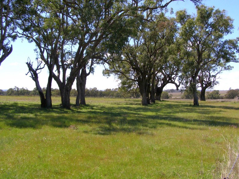 296 Limestone Road, Inverell NSW 2360