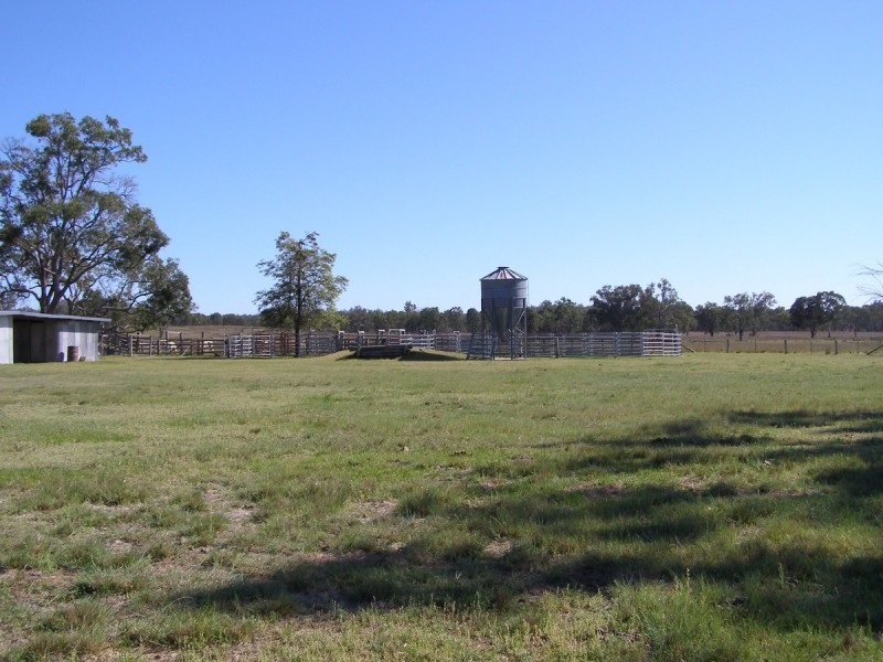 296 Limestone Road, Inverell NSW 2360