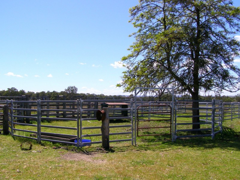 296 Limestone Road, Inverell NSW 2360