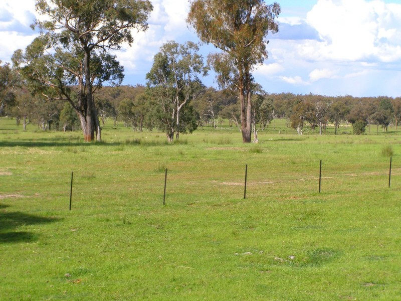 2909 Bonnay Linton Road, Inverell NSW 2360