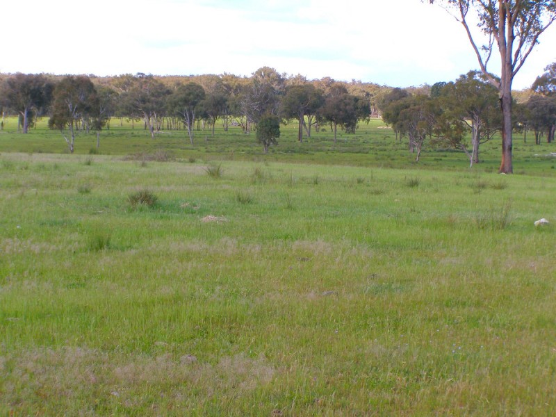 2909 Bonnay Linton Road, Inverell NSW 2360