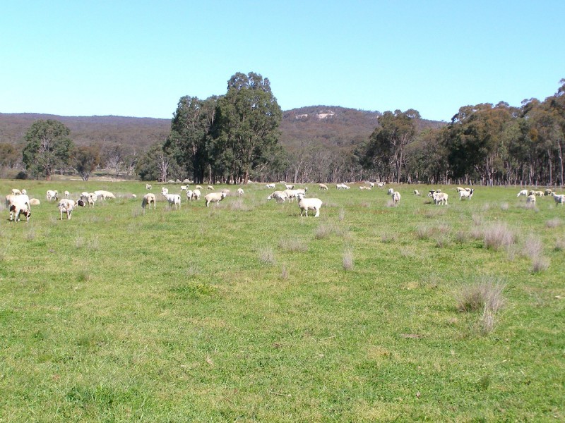 2782 Bonnay Linton Road, Inverell NSW 2360