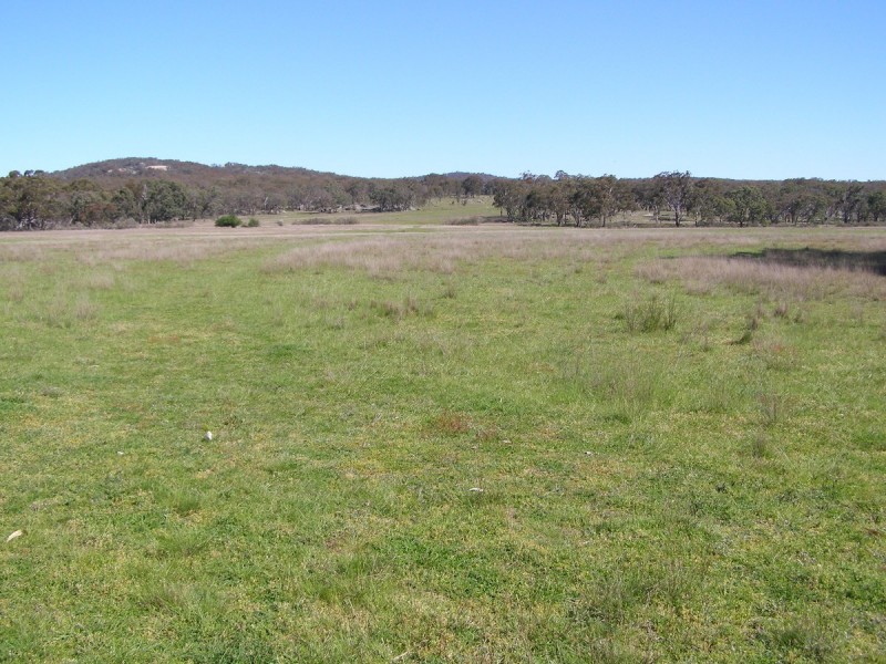 2782 Bonnay Linton Road, Inverell NSW 2360