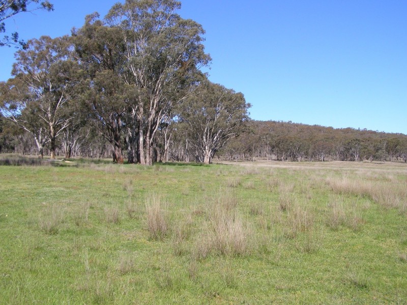 2782 Bonnay Linton Road, Inverell NSW 2360