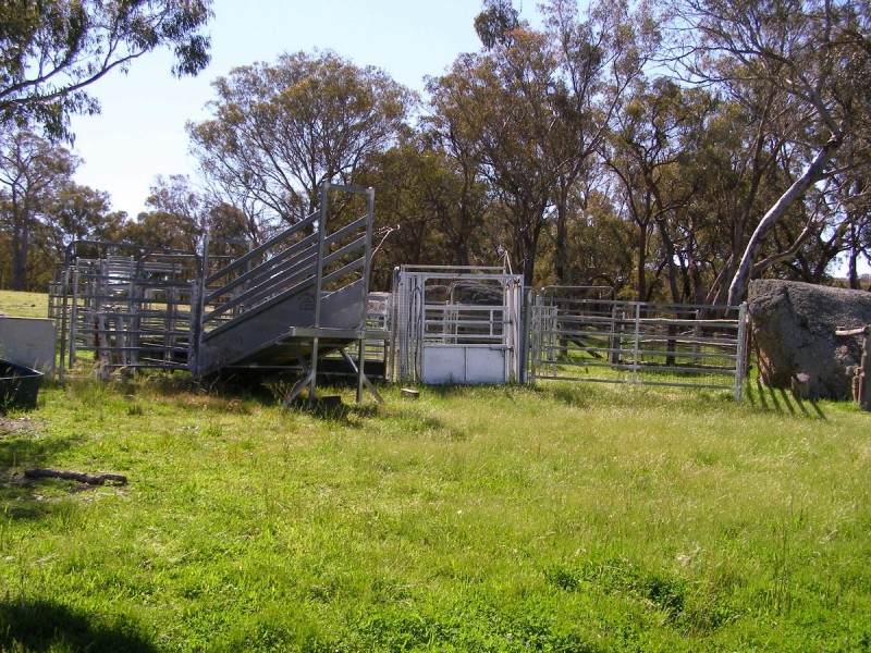 2782 Bonnay Linton Road, Inverell NSW 2360