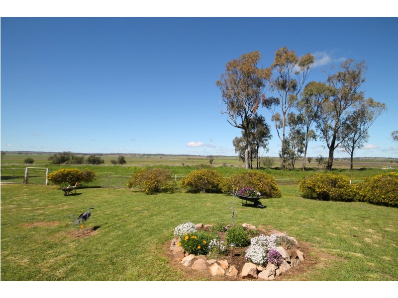43 Railway Street, Delungra NSW 2403
