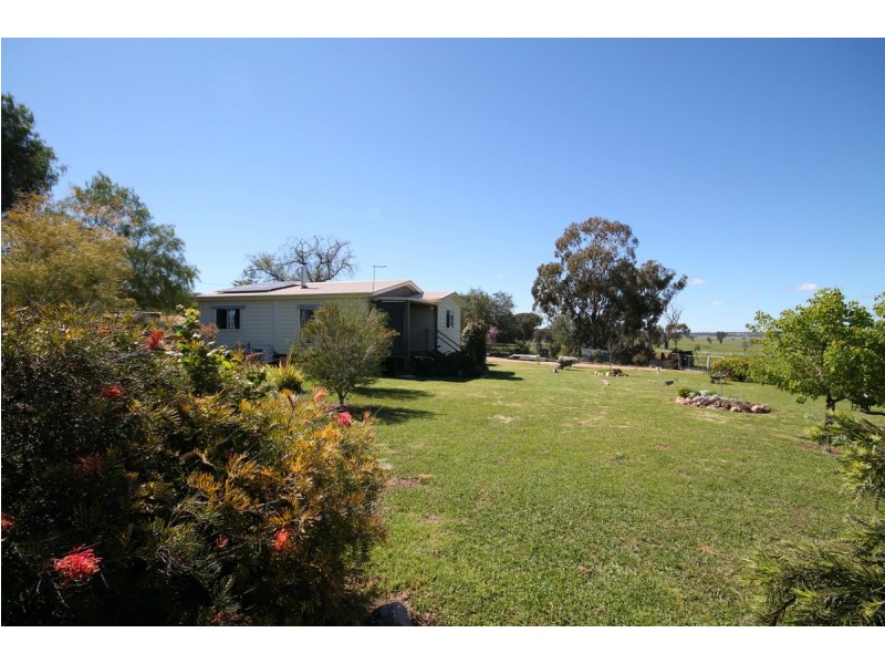 43 Railway Street, Delungra NSW 2403