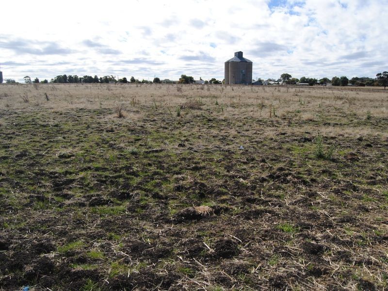 65 Bryant’s Lane, Inverell NSW 2360