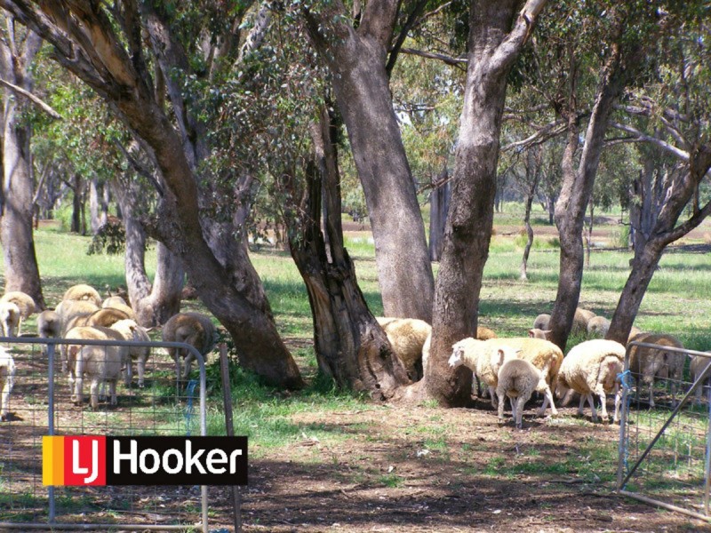 423 Rob Roy Road, Inverell NSW 2360