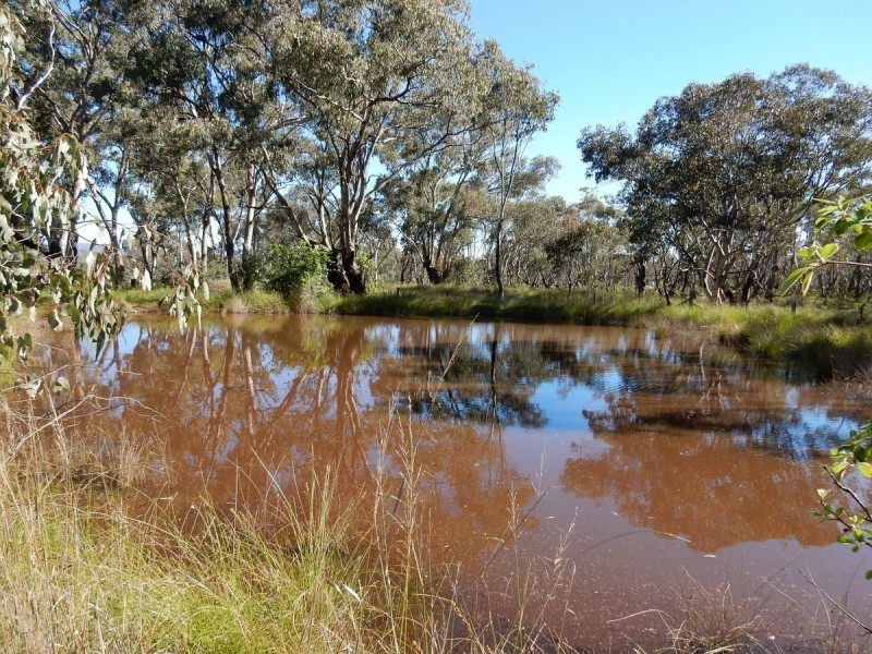 14073 Guyra Road, Inverell NSW 2360