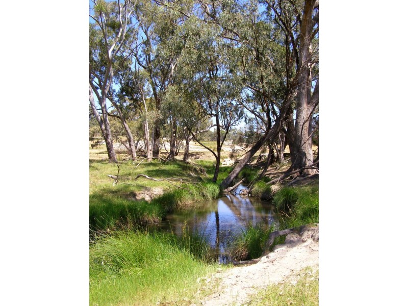 984 Bakers Creek, Bundarra NSW 2359