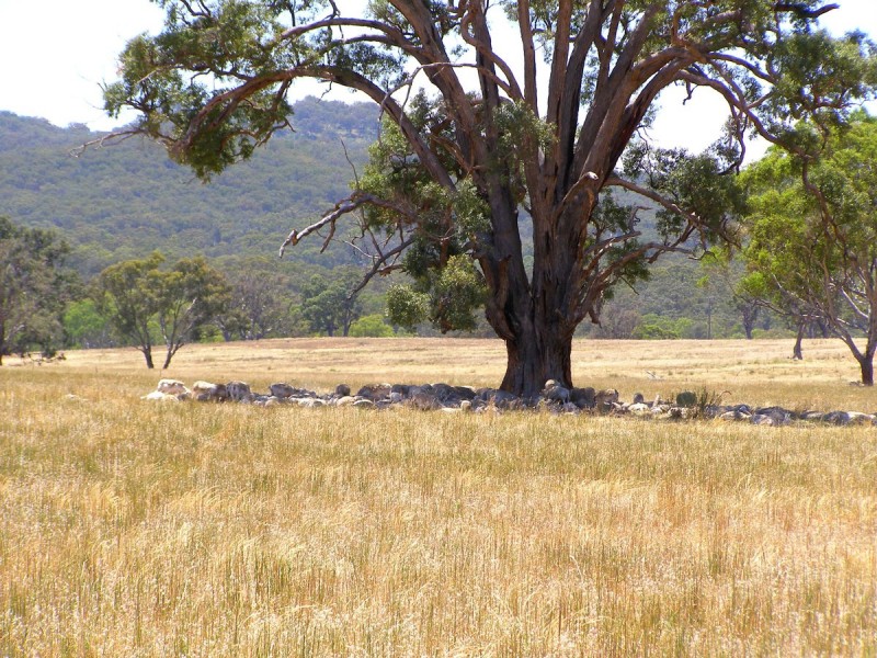 984 Bakers Creek, Bundarra NSW 2359