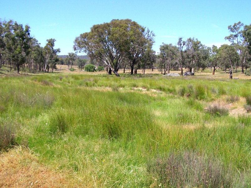 984 Bakers Creek, Bundarra NSW 2359