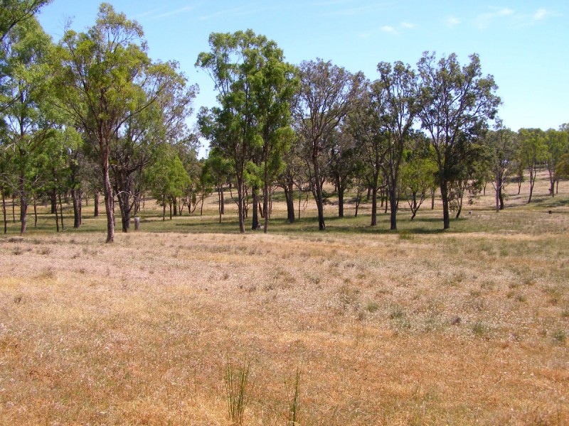 984 Bakers Creek, Bundarra NSW 2359