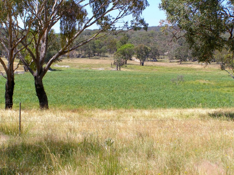 984 Bakers Creek Road, Inverell NSW 2360