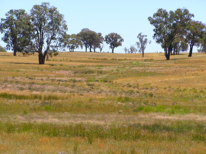 984 Bakers Creek Road, Inverell NSW 2360