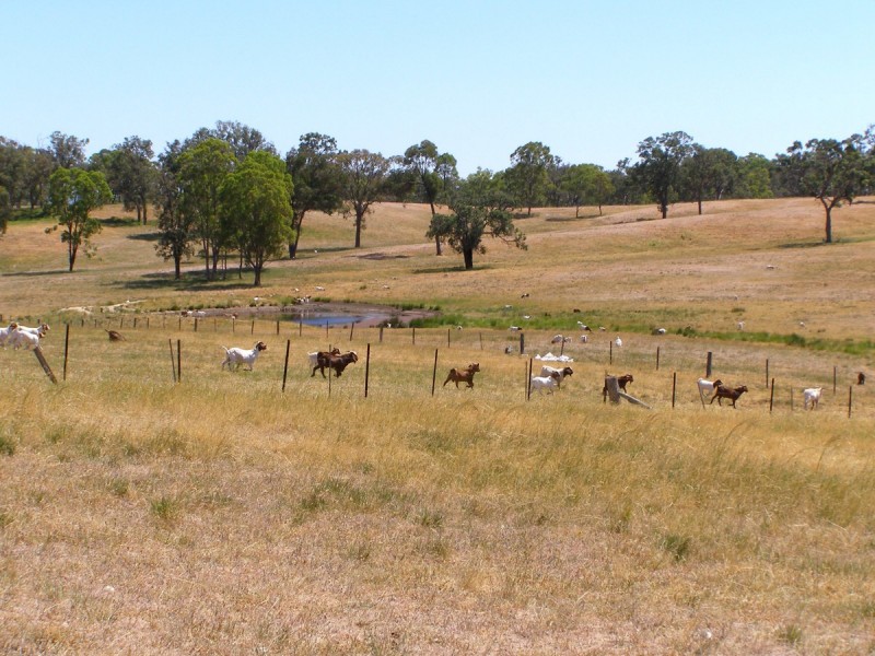 984 Bakers Creek Road, Inverell NSW 2360