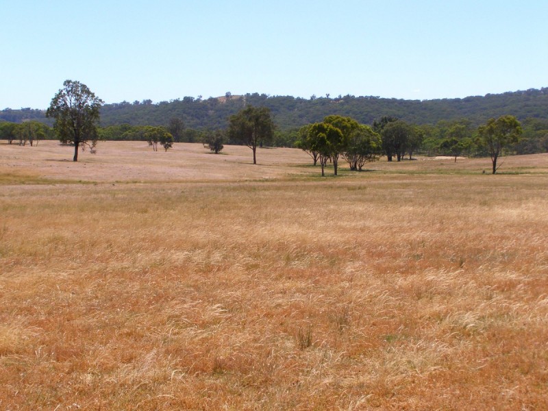 984 Bakers Creek Road, Inverell NSW 2360