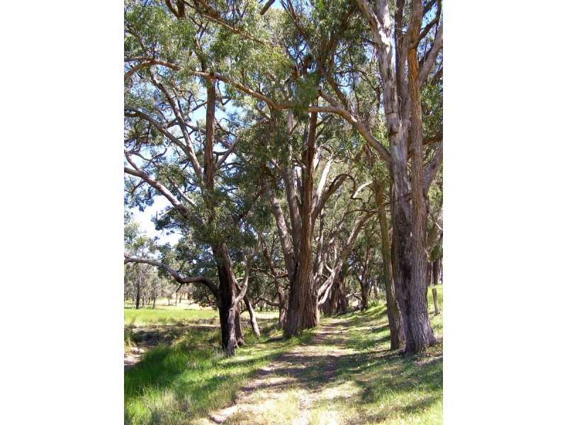 984 Bakers Creek Road, Inverell NSW 2360