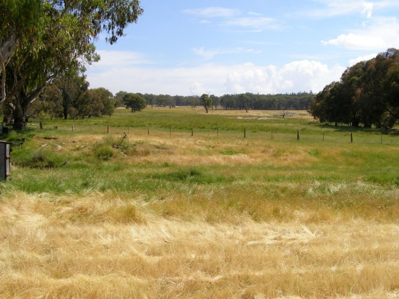 1015 Bundarra Road, Barraba NSW 2347