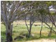 1015 Bundarra Road, Barraba NSW 2347