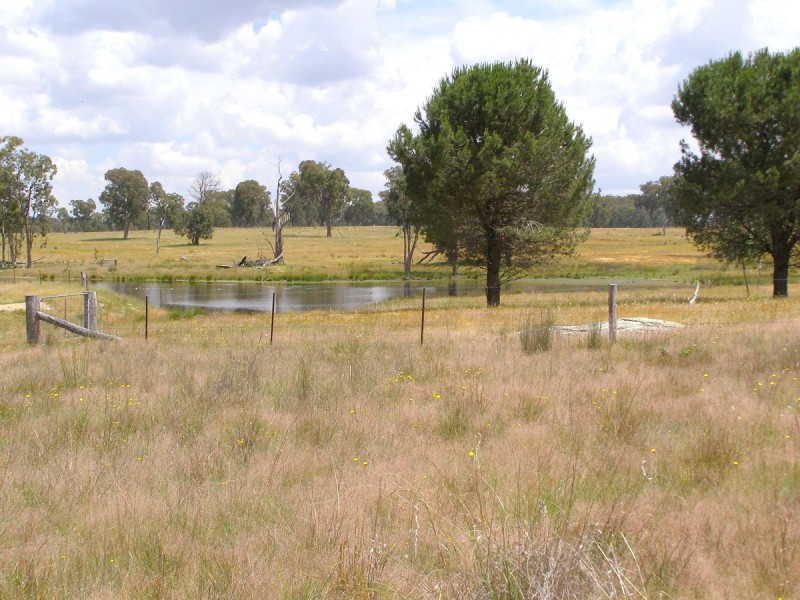 1015 Bundarra Road, Barraba NSW 2347