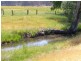 1015 Bundarra Road, Barraba NSW 2347