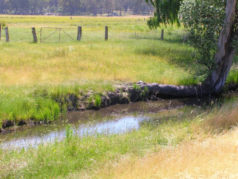 1015 Bundarra Road, Barraba NSW 2347
